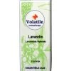  Ätherisches  Öl Lavandin